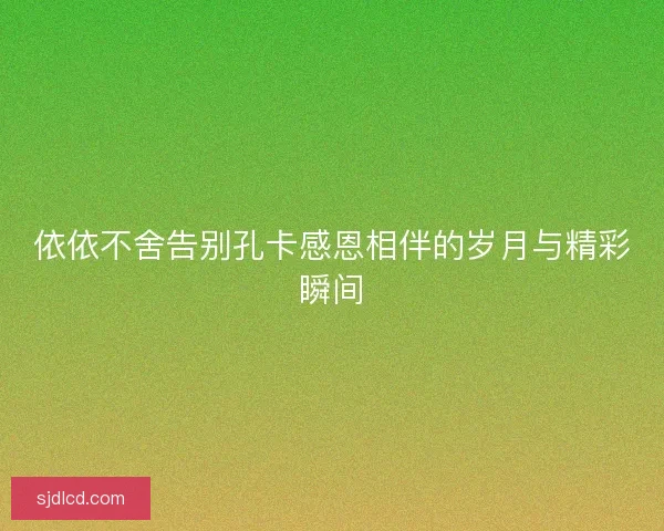 依依不舍告别孔卡感恩相伴的岁月与精彩瞬间